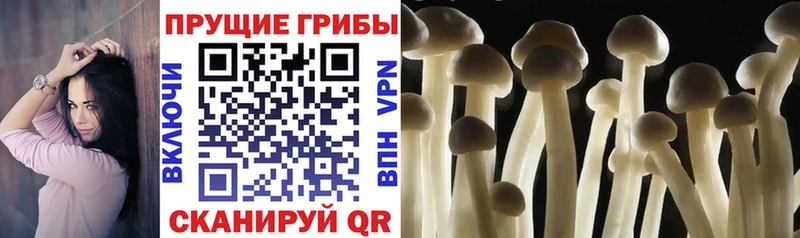 Галлюциногенные грибы мицелий  наркошоп  Белёв 
